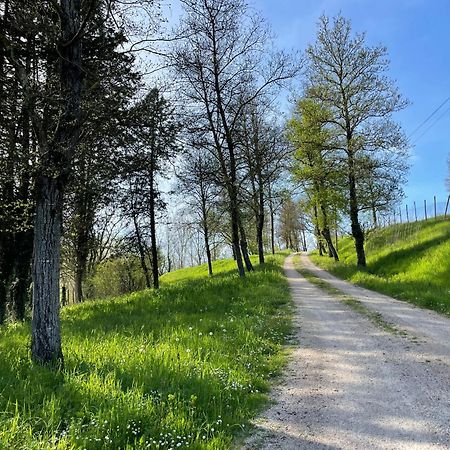 Agriturismo Podere le Tombe Affittacamere Palaia Esterno foto
