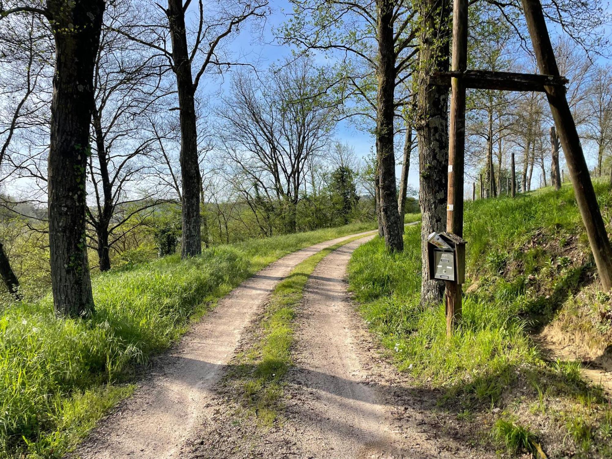 Agriturismo Podere le Tombe Affittacamere Palaia Esterno foto