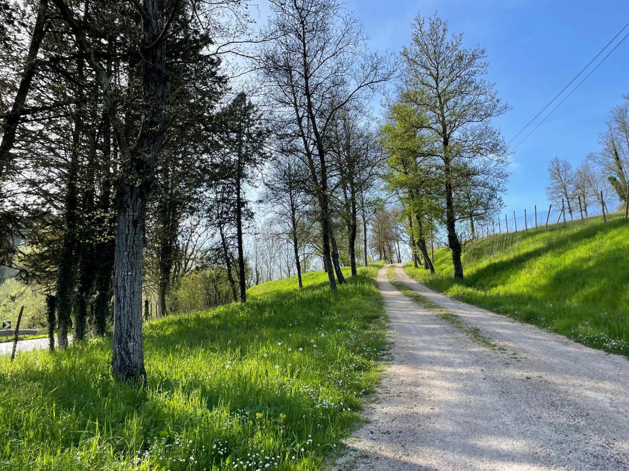 Agriturismo Podere le Tombe Affittacamere Palaia Esterno foto